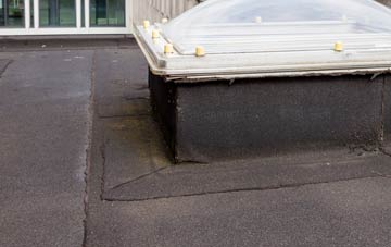 disadvantages of Rhydtalog flat roofs