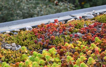 the cost of Rhydtalog green roof installation