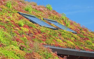 Rhydtalog living roof systems