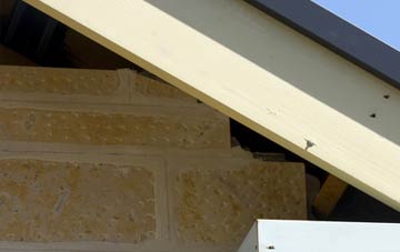 soffit repair Rhydtalog