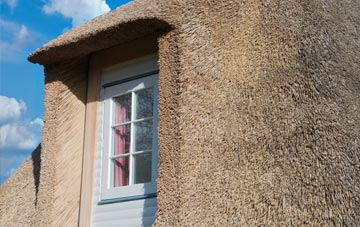 Rhydtalog thatch roof disadvantages